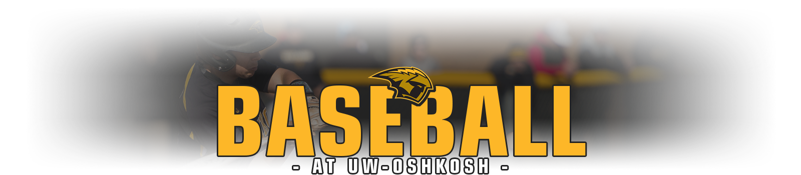UW Oshkosh Baseball Camps