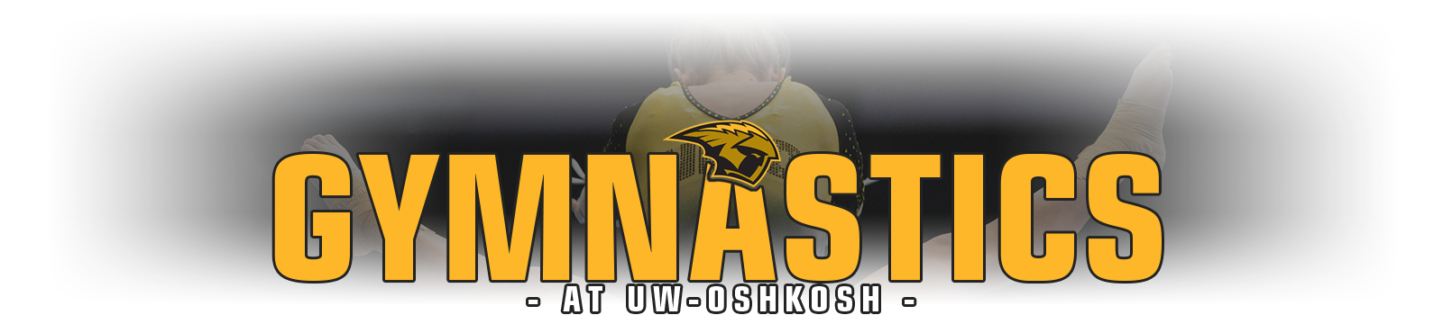 UW Oshkosh Gymnastics Camps